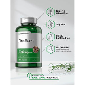 Horbäach Pine Bark Extract | 6000 Mg | Standardized to Contain 75% Proanthocyanidins 180 Capsules
