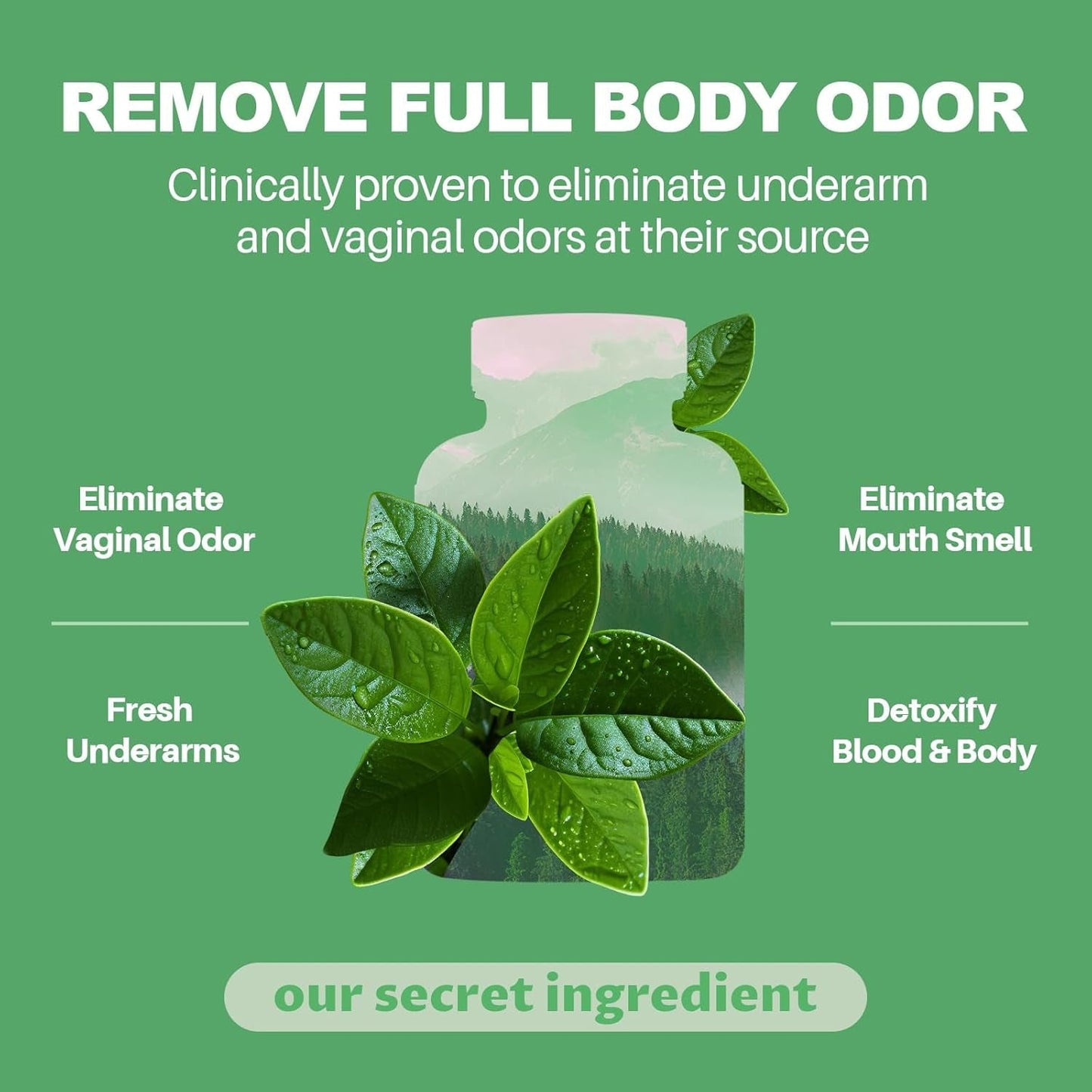 Body Deodorizing Supplement, Natural Internal Odor Control Pills for Men & Women (60 Capsules)