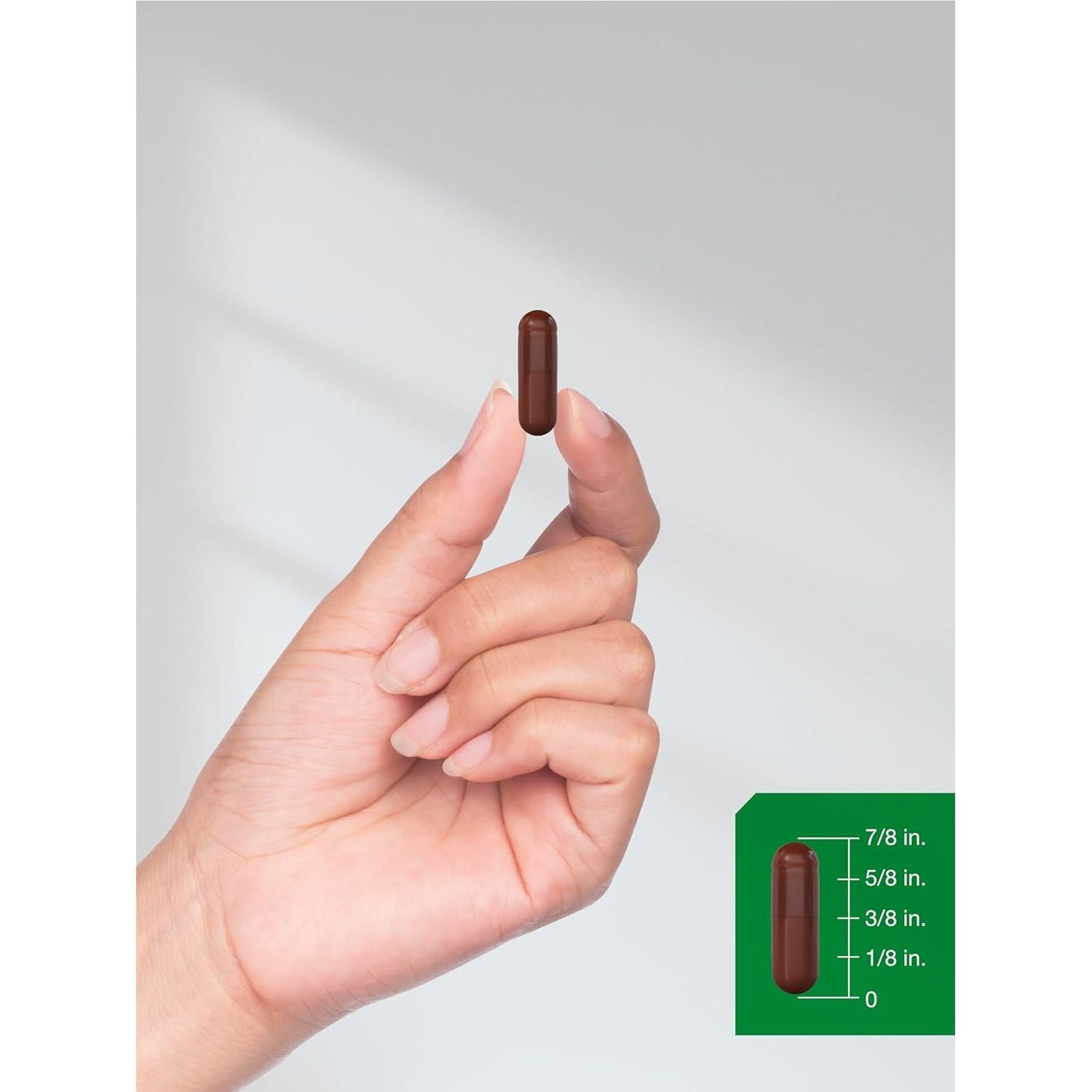 Horbäach Pine Bark Extract | 6000 Mg | Standardized to Contain 75% Proanthocyanidins 180 Capsules