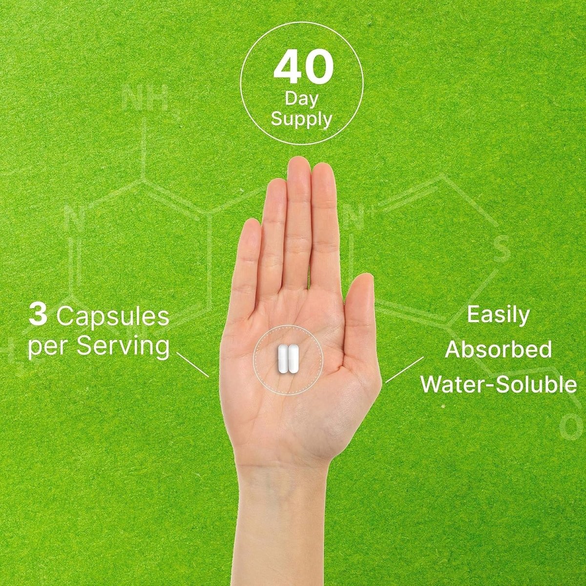 DEAL SUPPLEMENT Citicoline CDP Choline, 1,000Mg per Serving, 120 Capsules - Suppviv