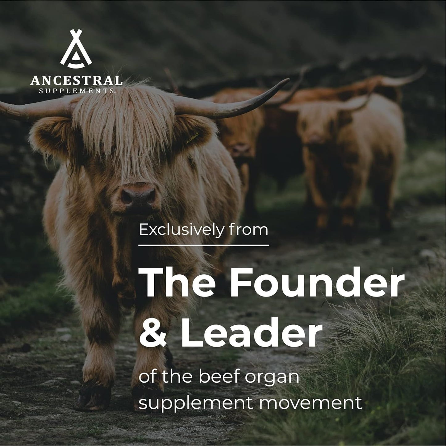 Ancestral Supplements Grass Fed Beef Intestines with Stomach (Tripe), 3000Mg Supports Acid Reflux and Gut, Intestine and Digestive Health 180 Capsules