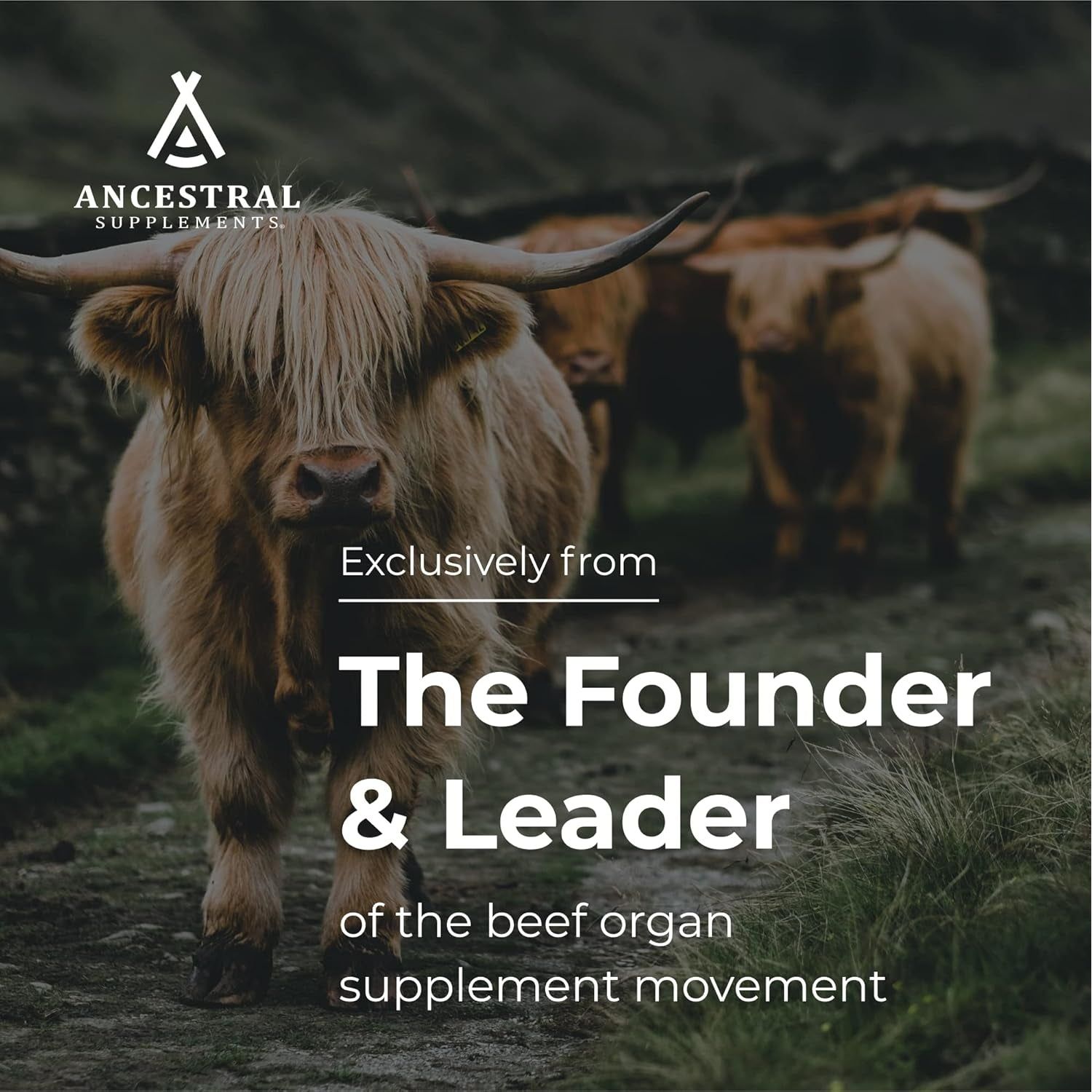 Ancestral Supplements Grass Fed Beef Intestines with Stomach (Tripe), 3000Mg Supports Acid Reflux and Gut, Intestine and Digestive Health 180 Capsules