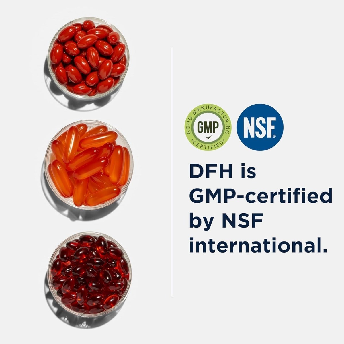 Designs for Health Phosphatidylcholine Softgels - Support Liver + Brain Health (180 Softgels) - Suppviv