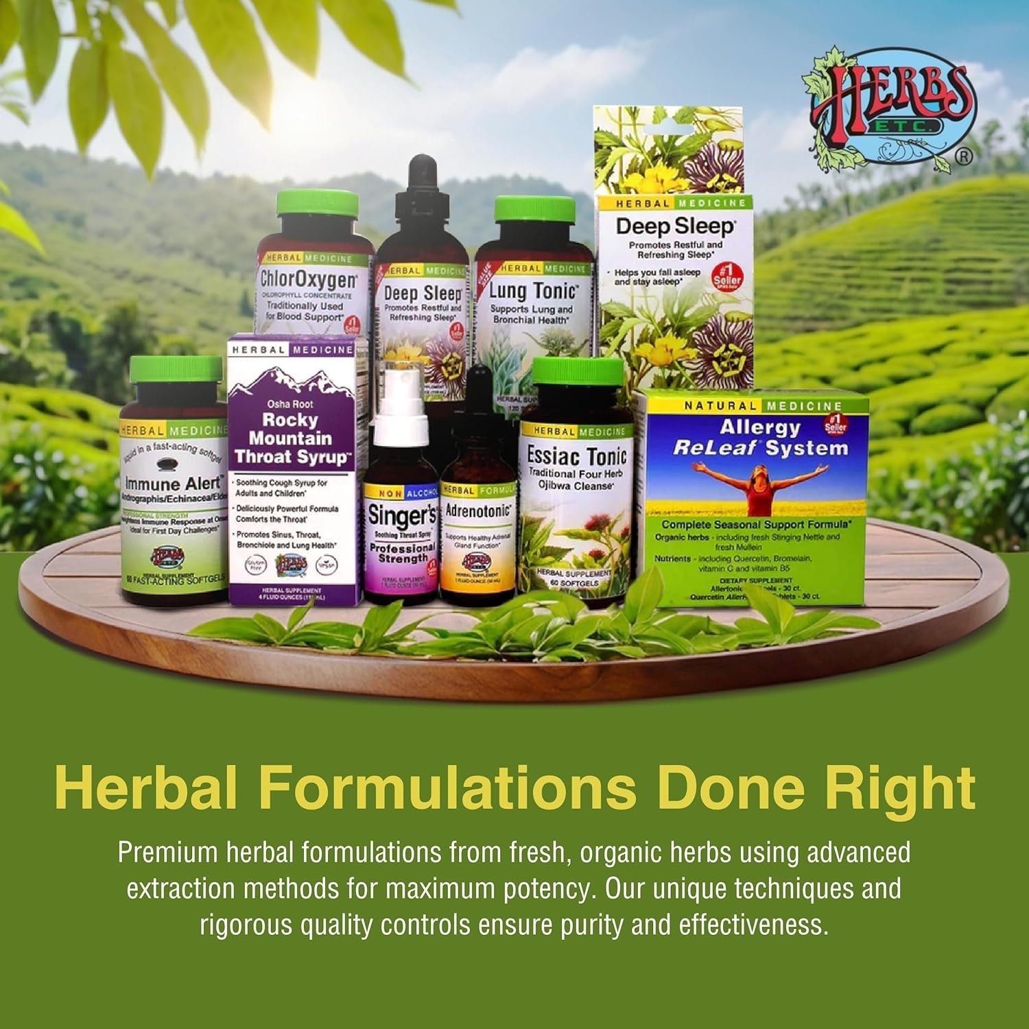 Herbs Etc. Lung Tonic - Lung Supplement for Bronchial Support - Healthy Breathing Support - 60 Softgels