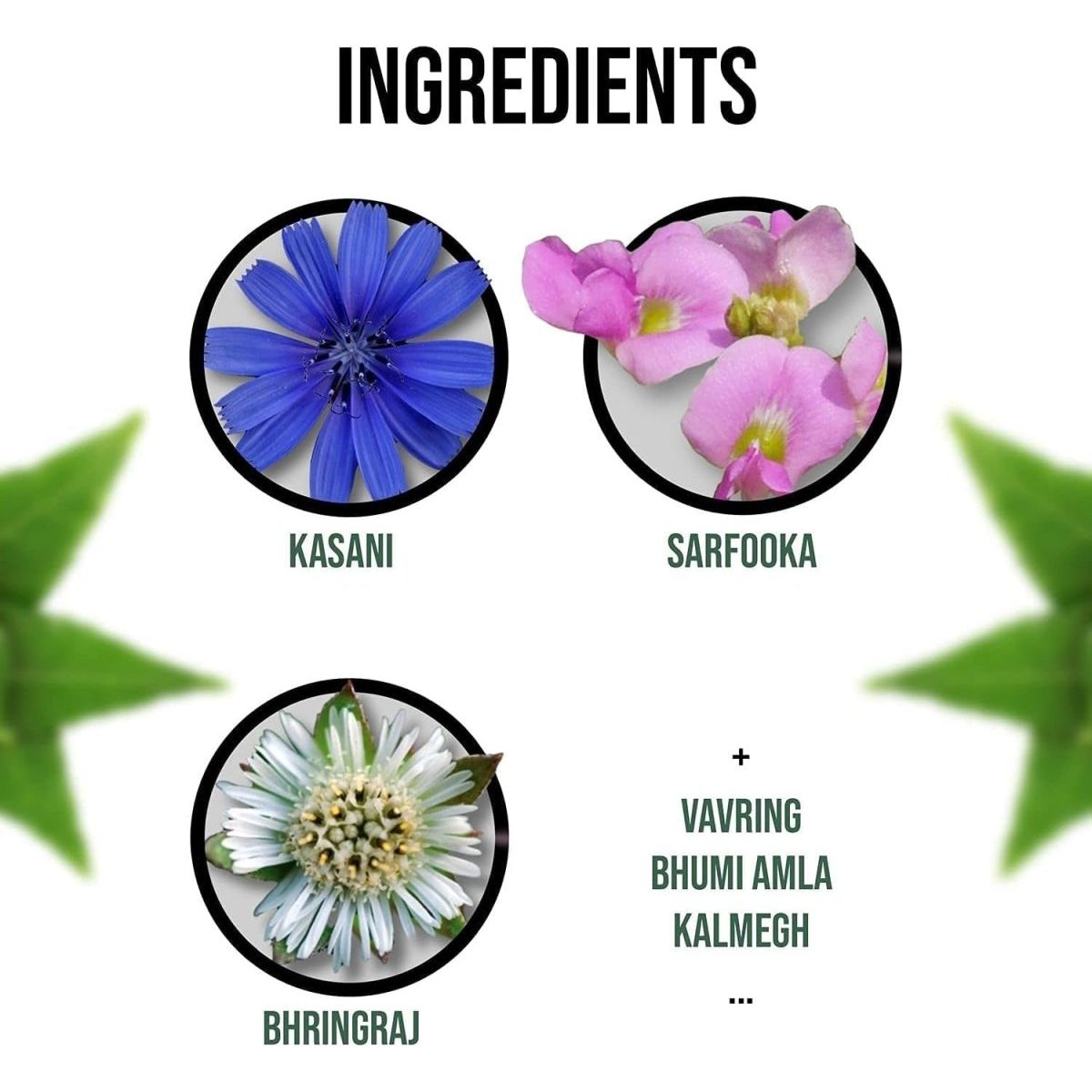 Dharishah DELIV 60 Tablets Ayurvedic Medicine for Liver Problems - Suppviv