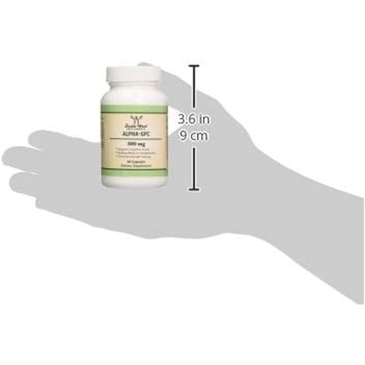 Double Wood Supplements Alpha GPC Choline Capsules - 60 Count, 600Mg Servings – Brain Support Supplement - Suppviv