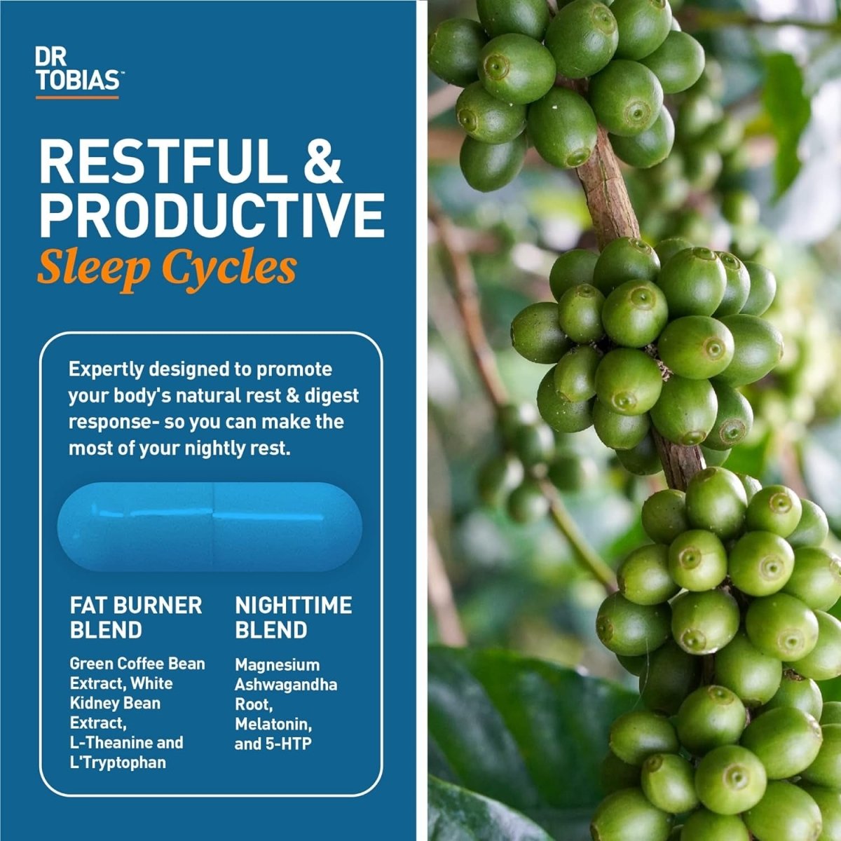 Dr. Tobias Fat Burner Nightly, Night Time Metabolic Support , 60 Capsules - Suppviv