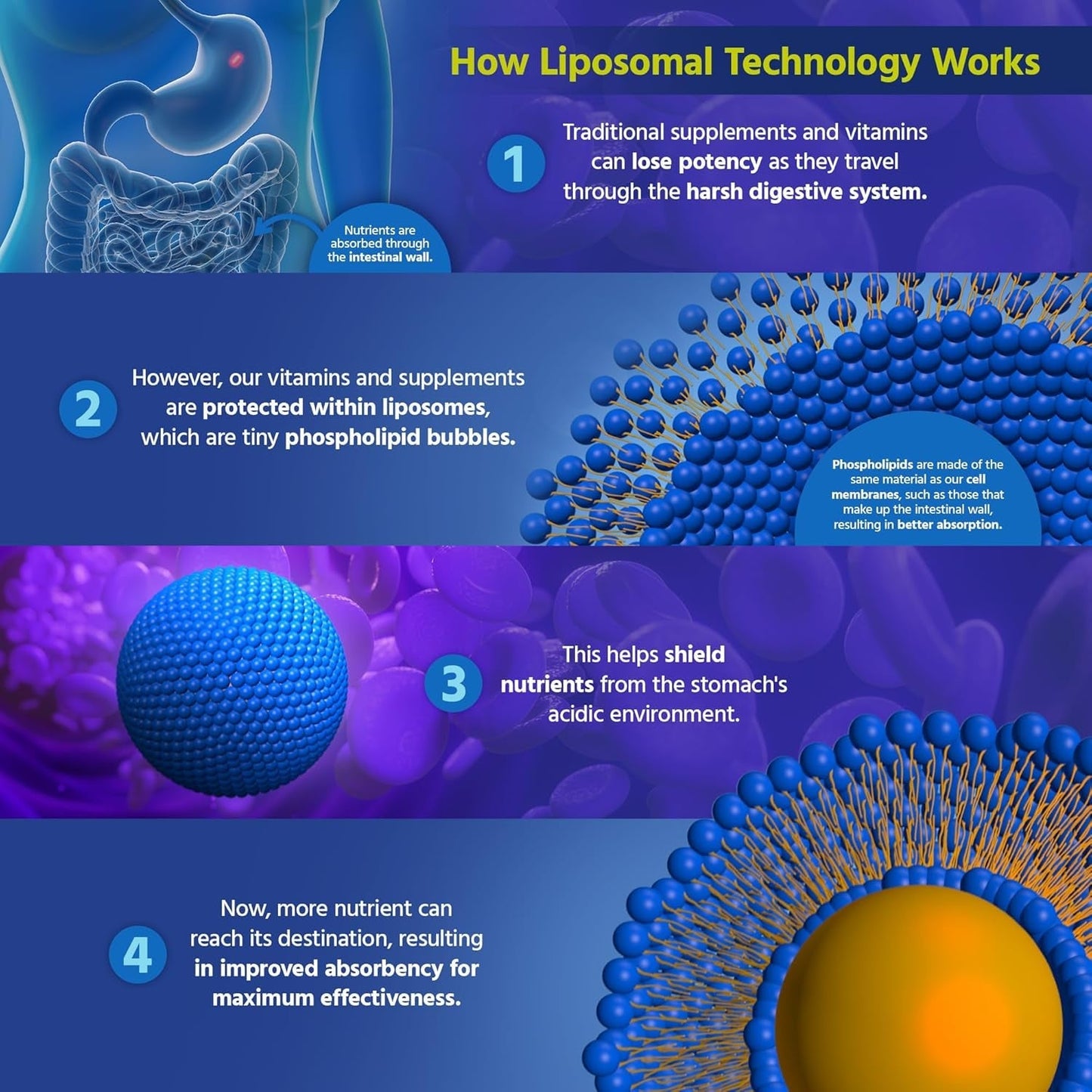 Core Med Science Liposomal Glutathione Liquid Supplement (500Mg, 4 Fl Oz)