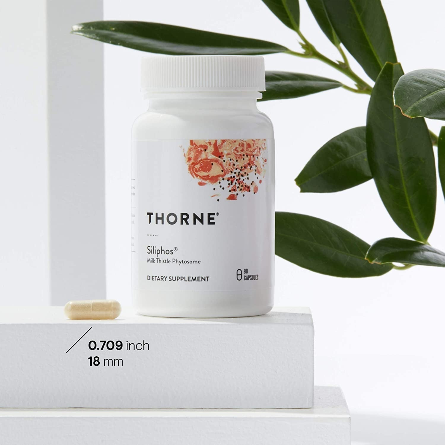 THORNE Siliphos - Botanical Extract Complex for Antioxidant and Liver Support - 90 Capsules