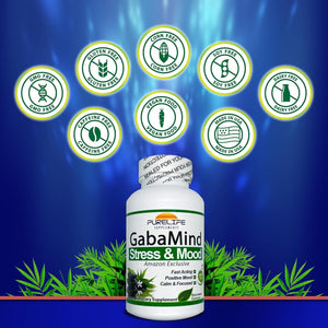 Purelife Gabamind –  Original Formula. GMO Free and Vegetarian (90 Capsules)