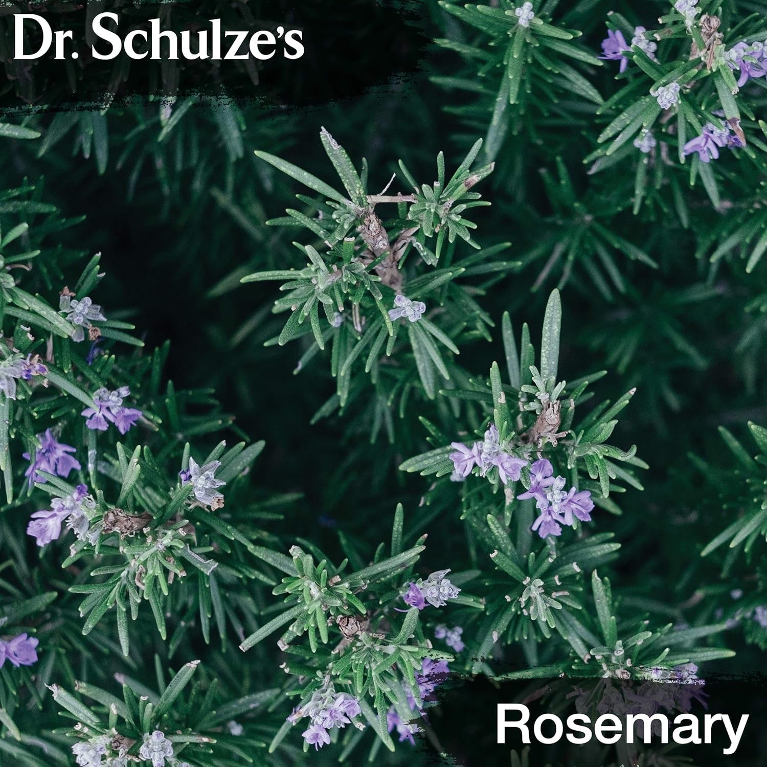 Dr. Schulze'S Brain Formula 2 Oz. - Stimulates Circulation and and Improved Mental Focus