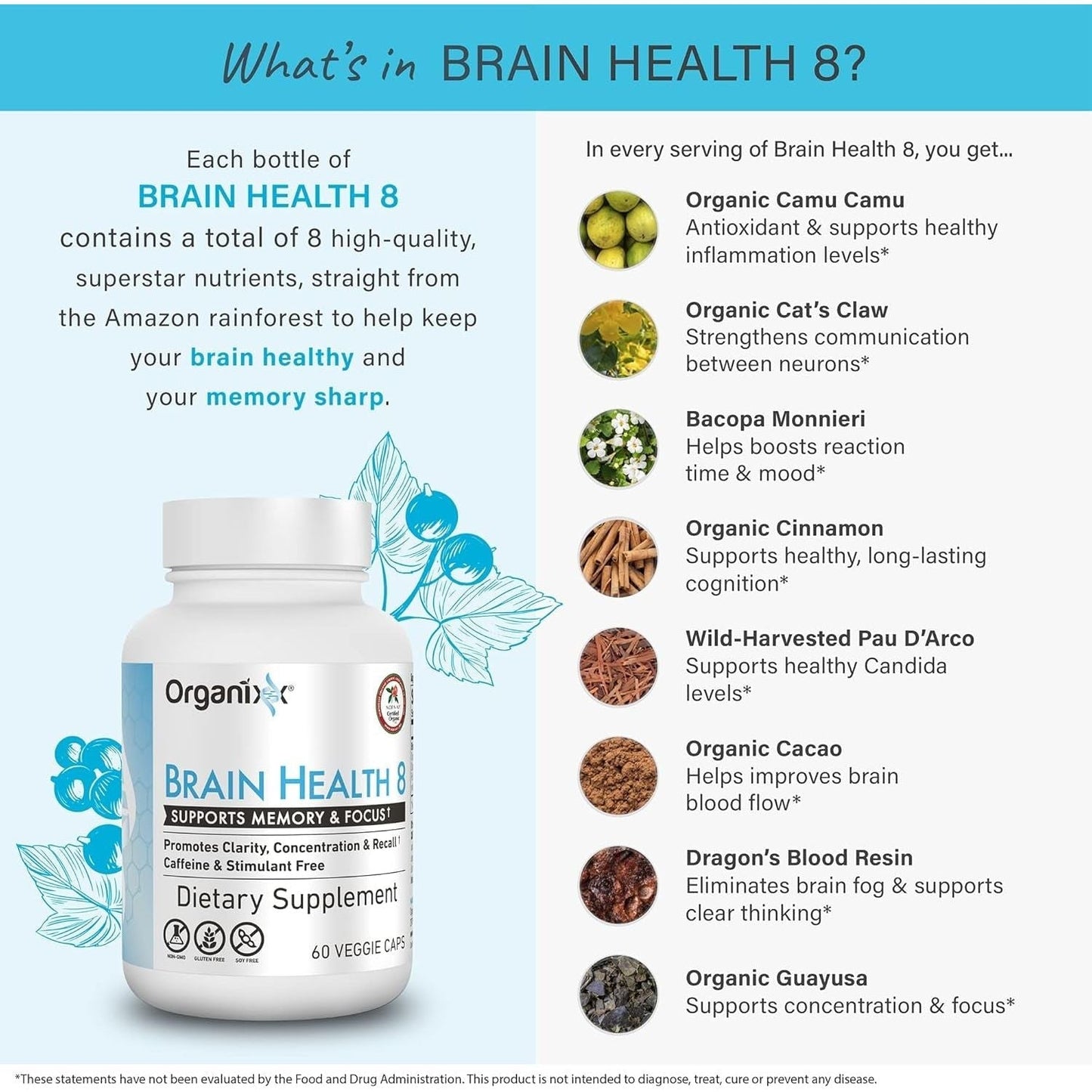 Organixx Powerful Brain Supplement to Support Brain Function, Clarity, Memory, Focus 60 Capsules