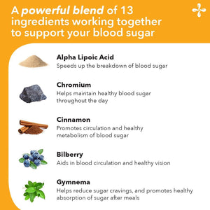 Lifeseasons - GS Stabili-T - Blood Sugar Support Supplement - Healthy Circulation & Vision - 90 Capsules