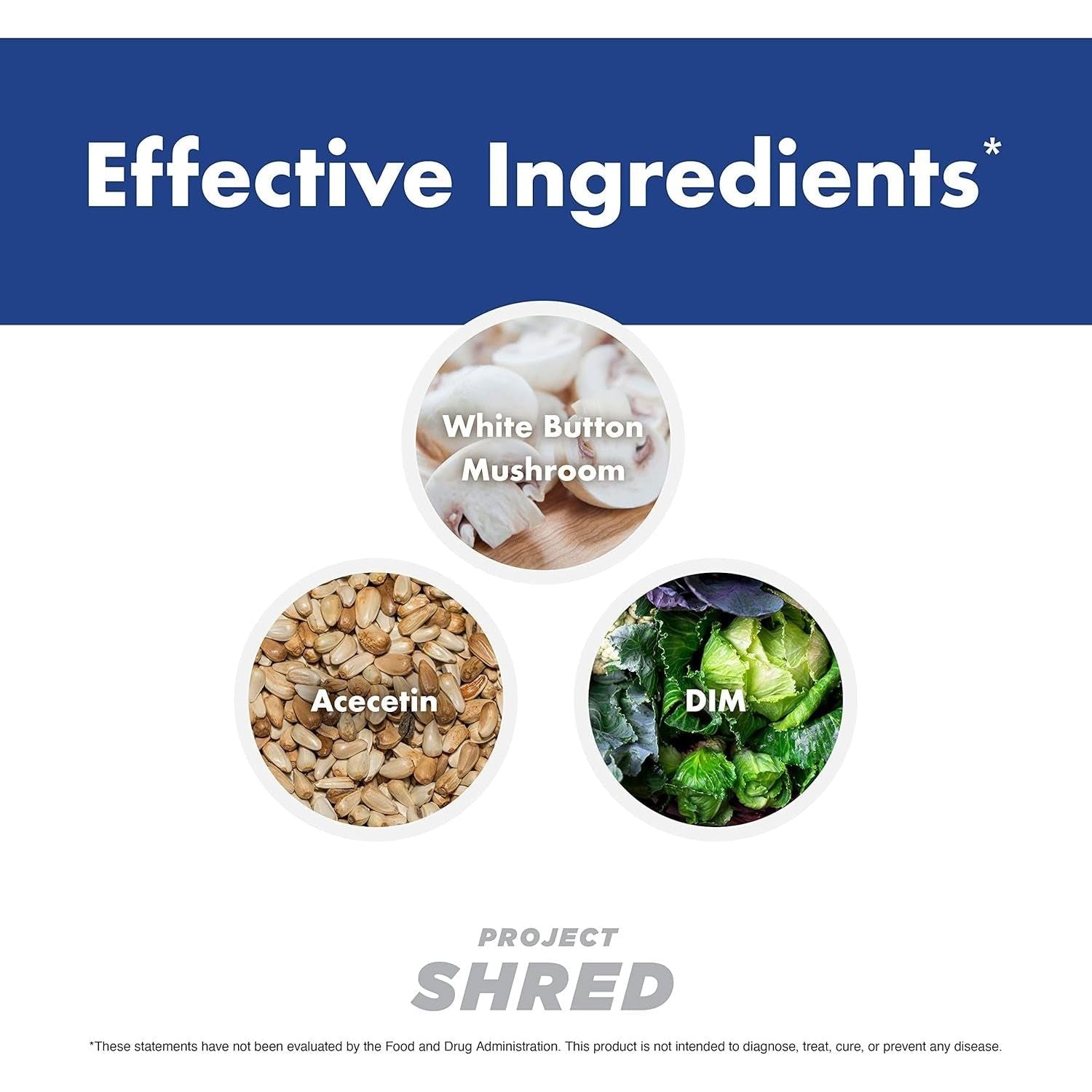 Anabolic Warfare Project Shred, Manage Normal Healthy Cortisol Levels & Water Retention