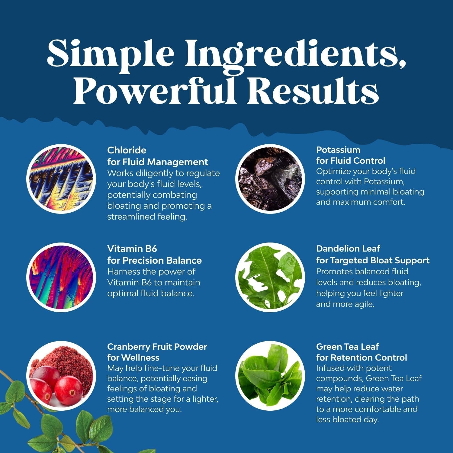 Natures Craft Water Away Pills Maximum Strength for Fast Acting Bloating Relief - 90 Servings