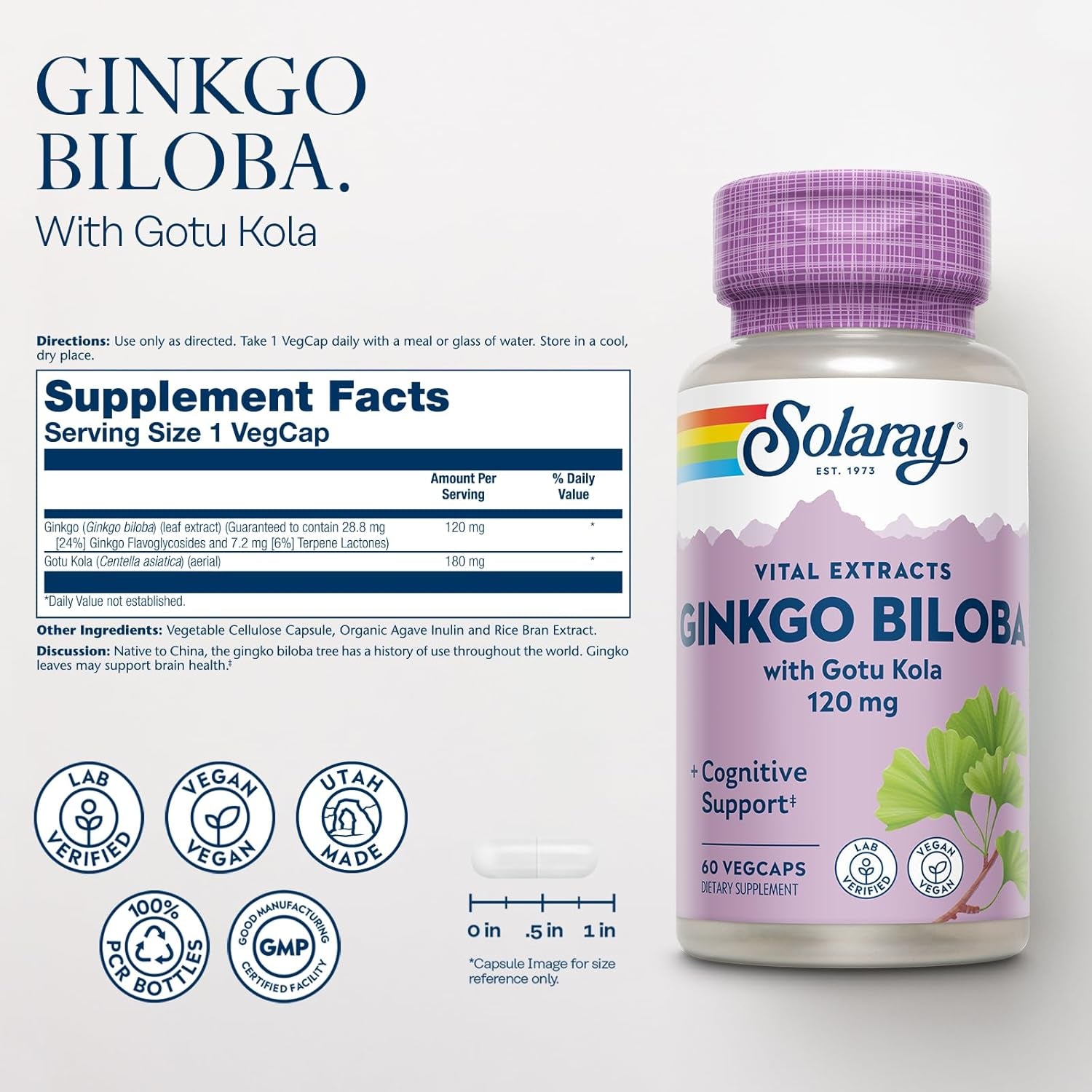 SOLARAY Ginkgo Biloba Extract with Gotu Kola - Ginko Biloba Capsules for Brain Health Support  60 Servings