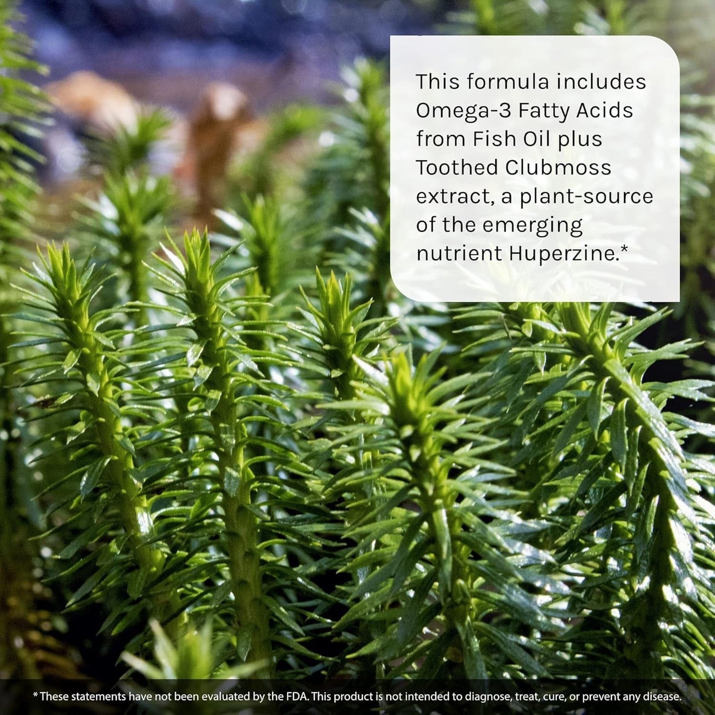 Irwin Naturals Ginkgo Smart Powerful Nootropic Brain Booster - Supports Maximum Memory, Focus & Mental Clarity 120 Liquid Softgels