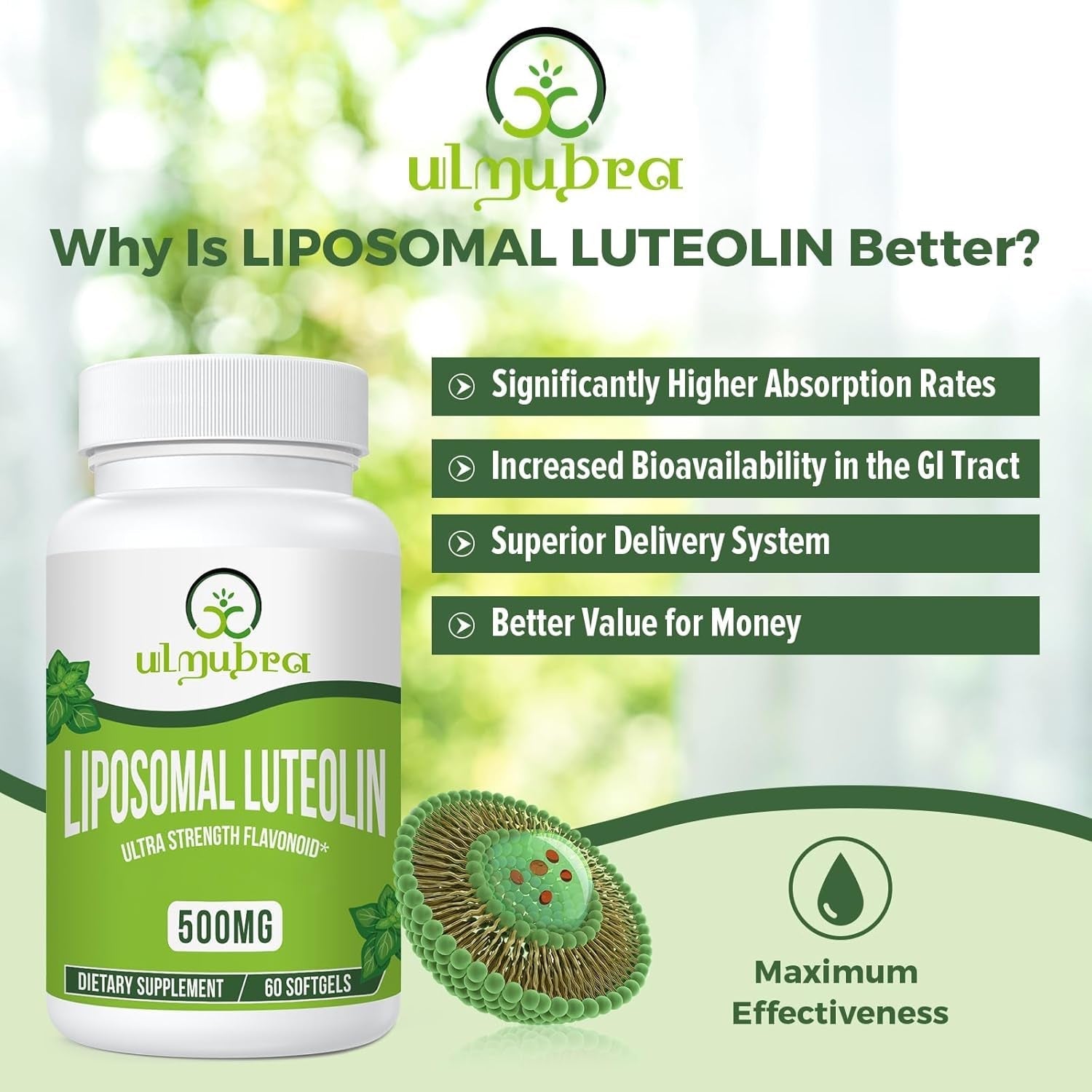 Liposomal Luteolin 500MG, Maximum Absorption, Potent Flavonoid, 60 Softgels