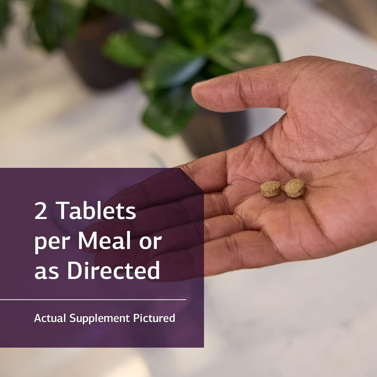 Standard Process Inc. Cholacol - Fat Digestion Supplement for Digestive Health & Bile Support 90 Tablets