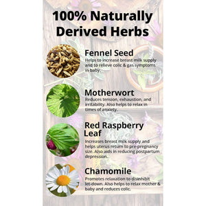 Happy Healthy Hippie Pump It up Lactation Supplement 60 Count