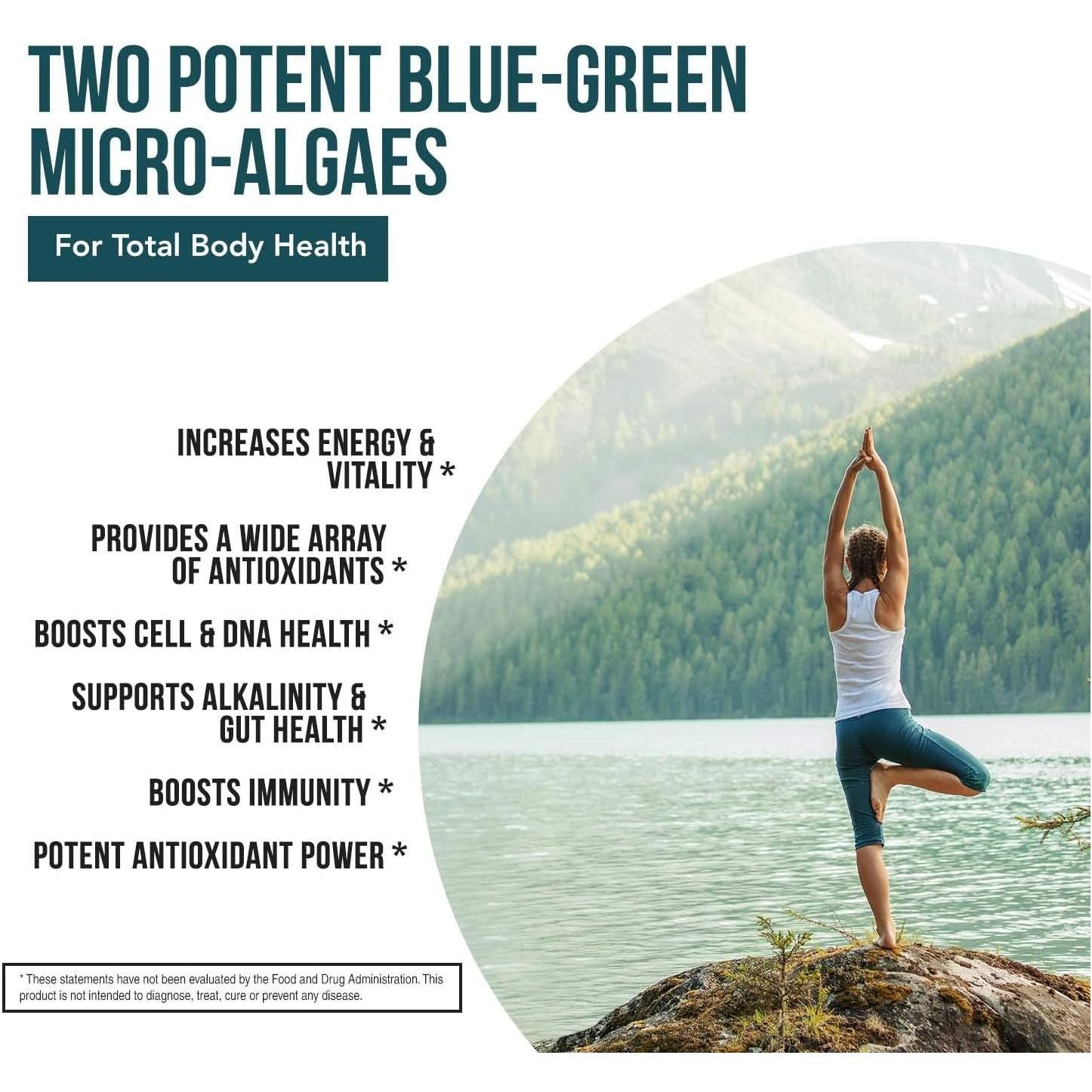 Organic Spirulina & Chlorella Tablets – 4 Organic Certifications, Raw, Non-Irradiated – 50/50 Blue Green Algae Blend – Antioxidant Content Equal to 5 Servings of Vegetables (120 Tablets)