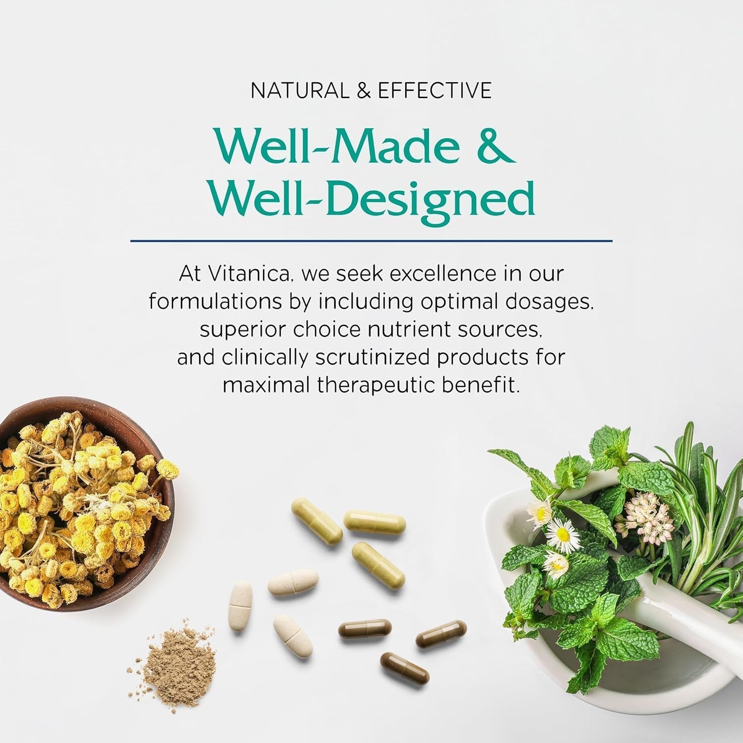 Vitanica Immune Symmetry, Immune Support, Vegan, 60 Capsules