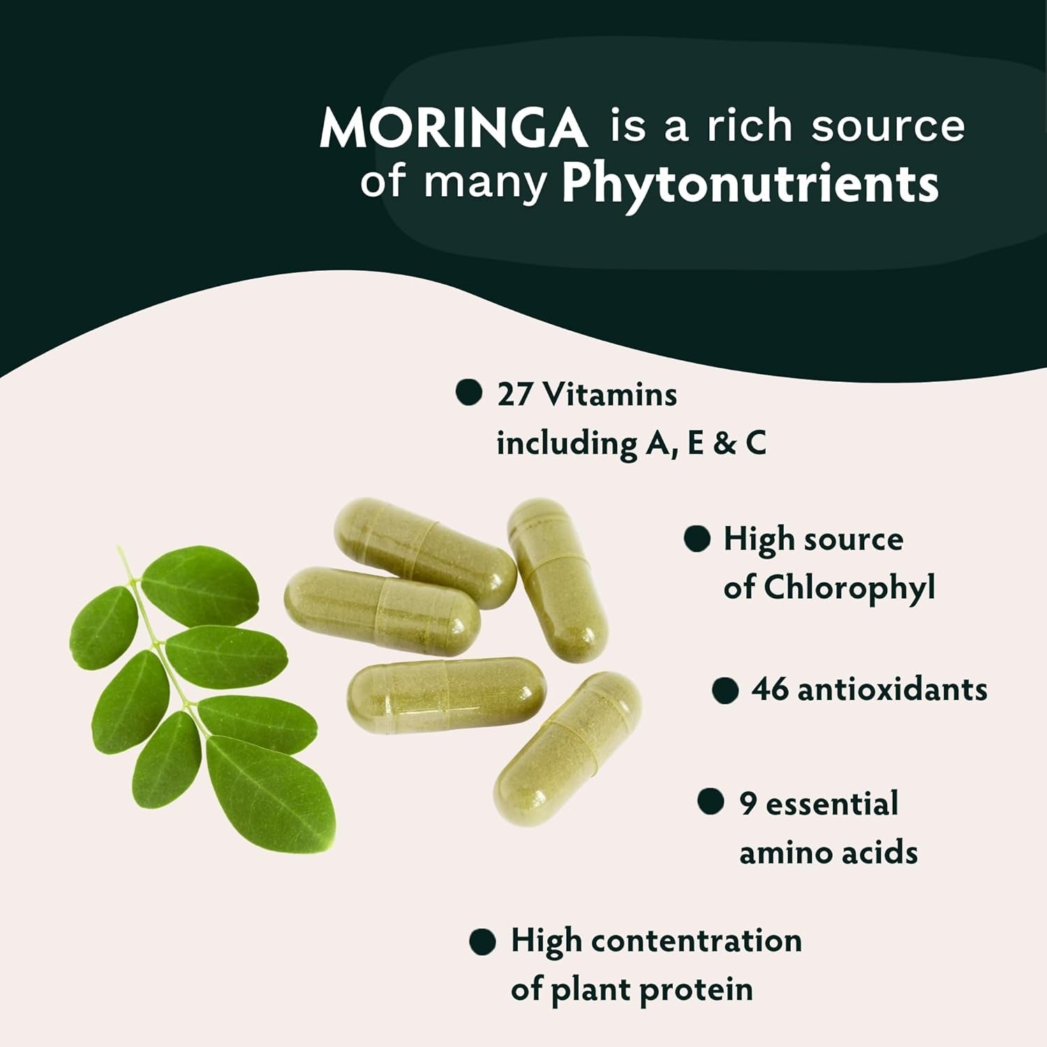 TRIBE ORGANICS 1800Mg Organic Moringa Oleifera Powder for Energy | Joints | Brain Function - 120 Vegan Capsules
