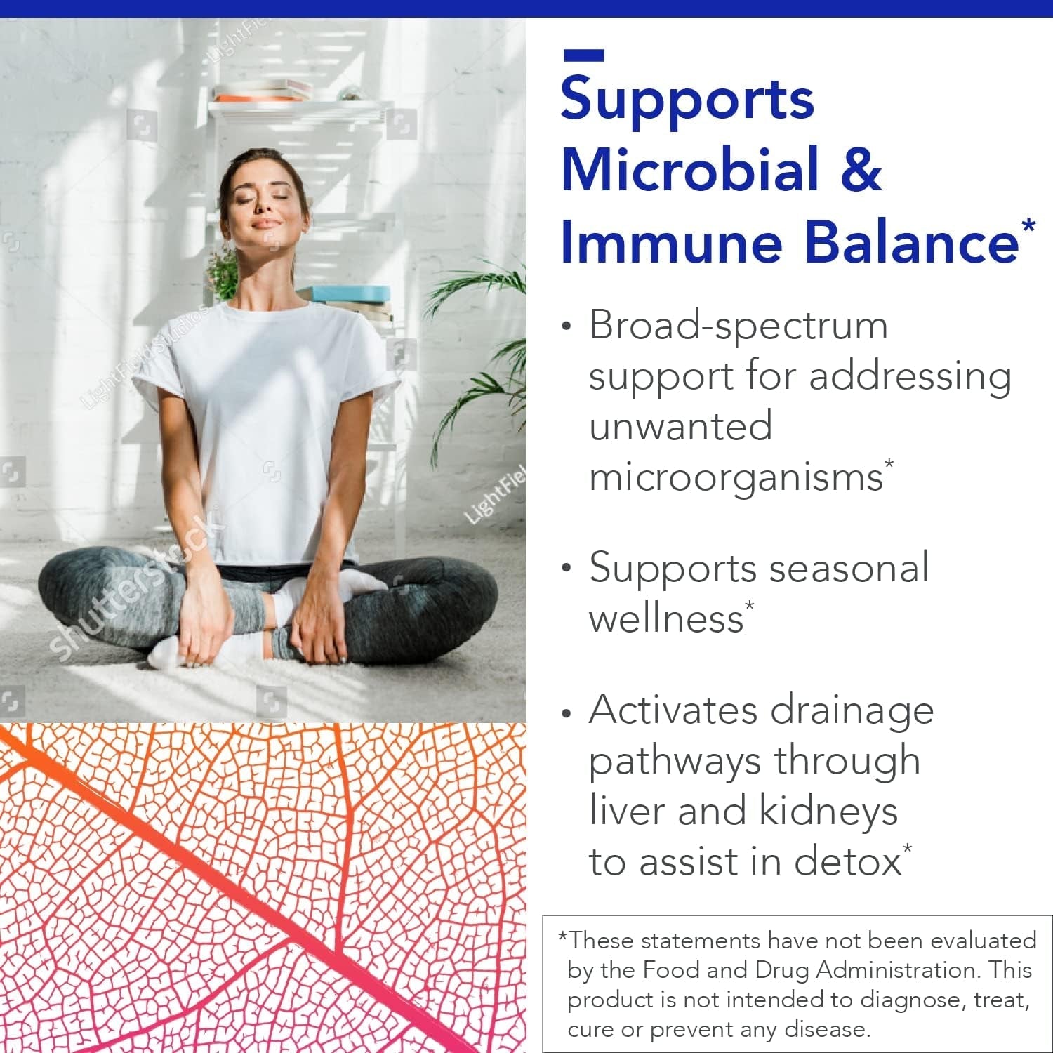 Olivirex High Potency Olive Leaf Combination by Biocidin - Immune Support Supplement (60Ct)