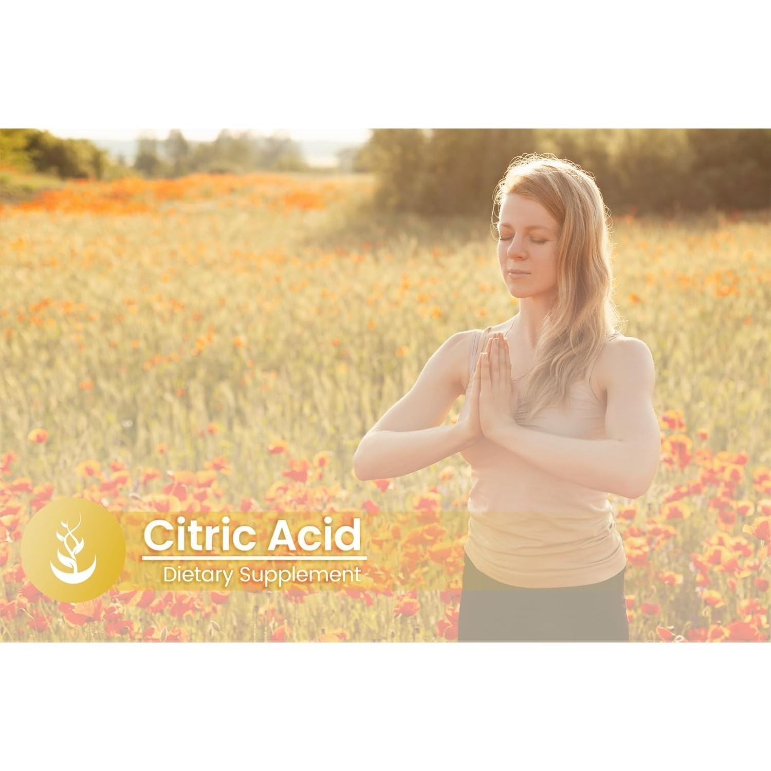 PURE ORIGINAL INGREDIENTS Citric Acid, (100 Capsules)  Lab Verified