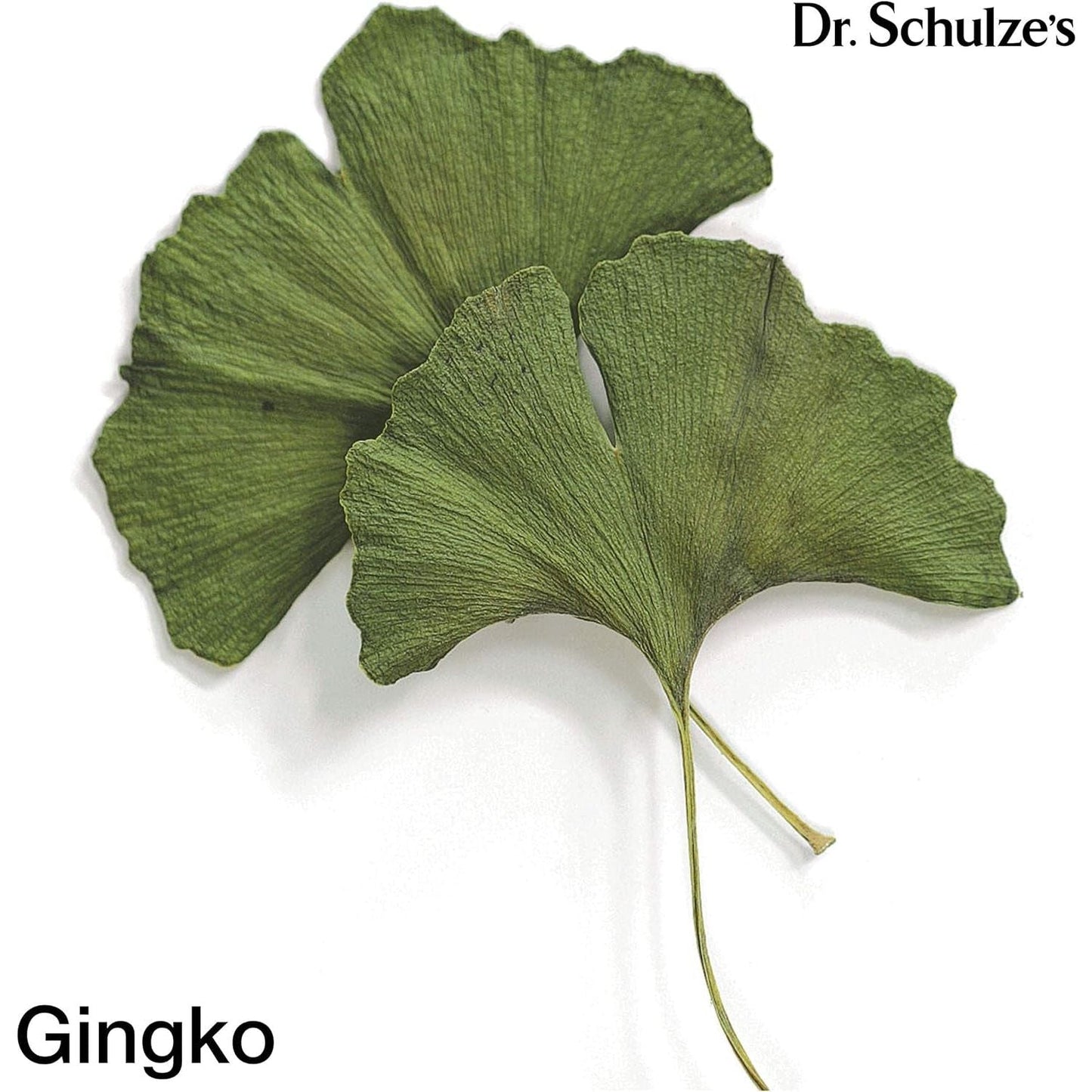 Dr. Schulze'S Brain Formula 2 Oz. - Stimulates Circulation and and Improved Mental Focus