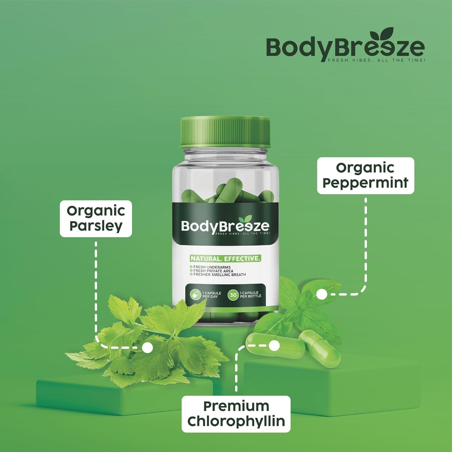 Internal Deodorant Supplement | Natural Chlorophyll for Body Odor Control, Gut Health, and Fresh Breath 30 Capsules