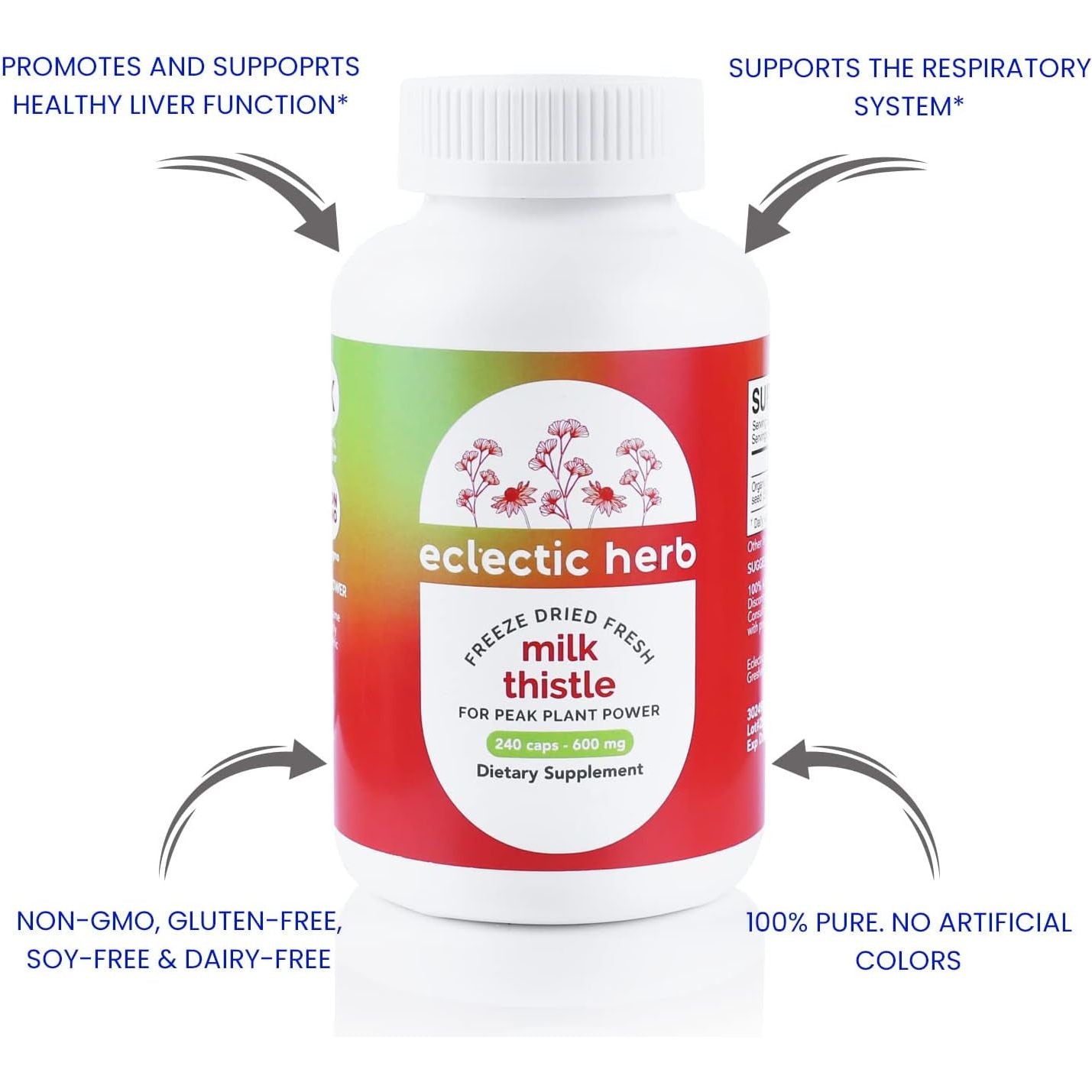 Eclectic Institute Raw Freeze-Dried Non-Gmo Milk Thistle | with Silymarin for Liver Support - Detox, Cleanse & Maintain | 240 CT