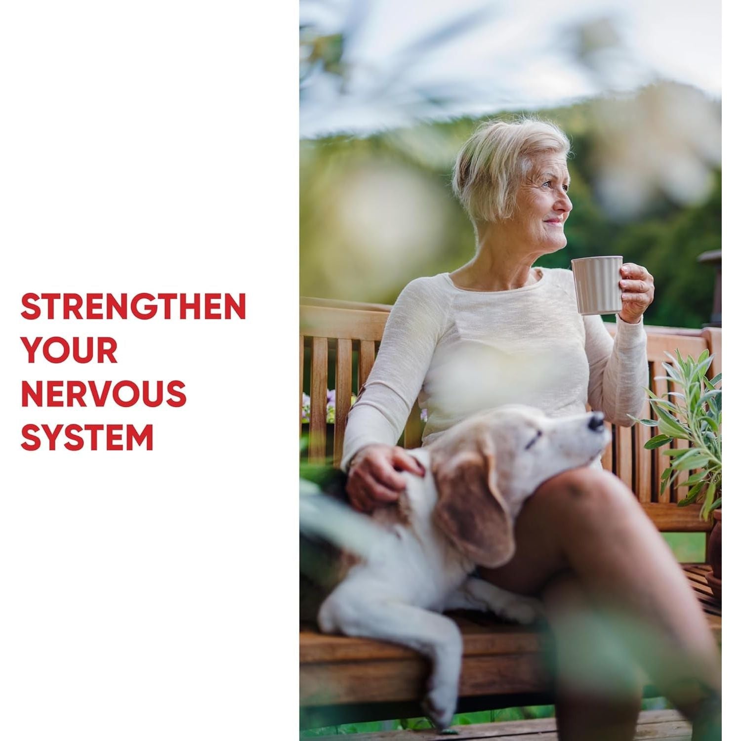 Redd Remedies, Nerve Shield, Supports Healthy Nerve Structure and Circulation, 120 Vegan Capsules