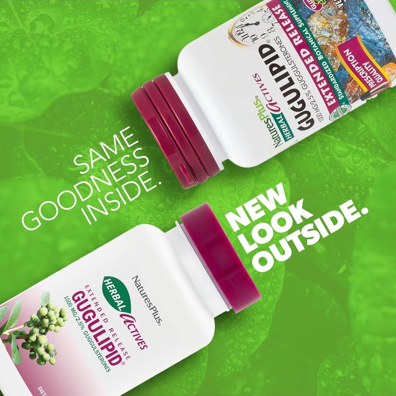 Natures plus Herbal Actives Gugulipid, Extended Release- 1000 Mg, 2.5% Guggulsterones - 30 Servings