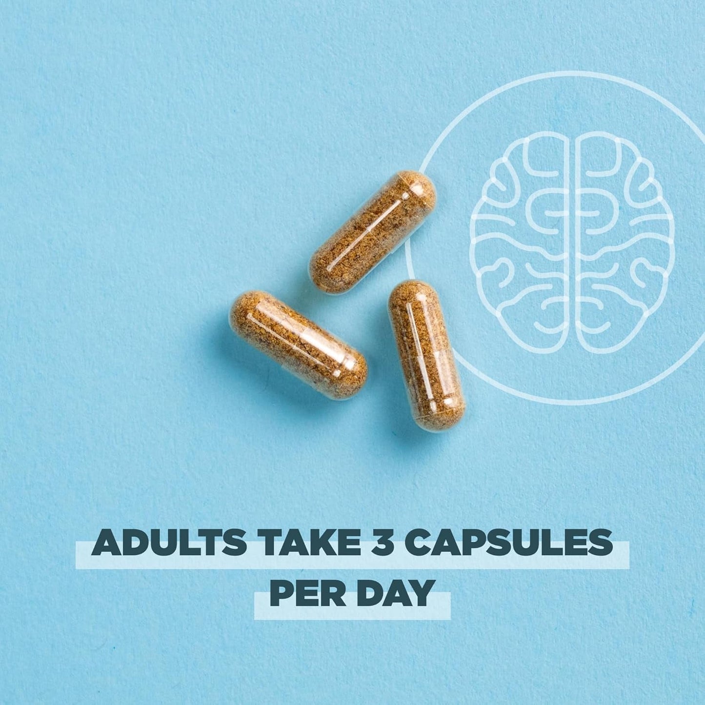 Ancient Nutrition Regenerative Organic Certified Focused Brain Capsules, 90 Count