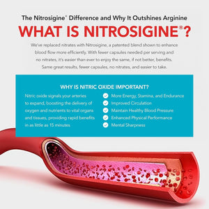 Juvenon Advanced Bloodflow-7 Nitro XXXL Support Supplement