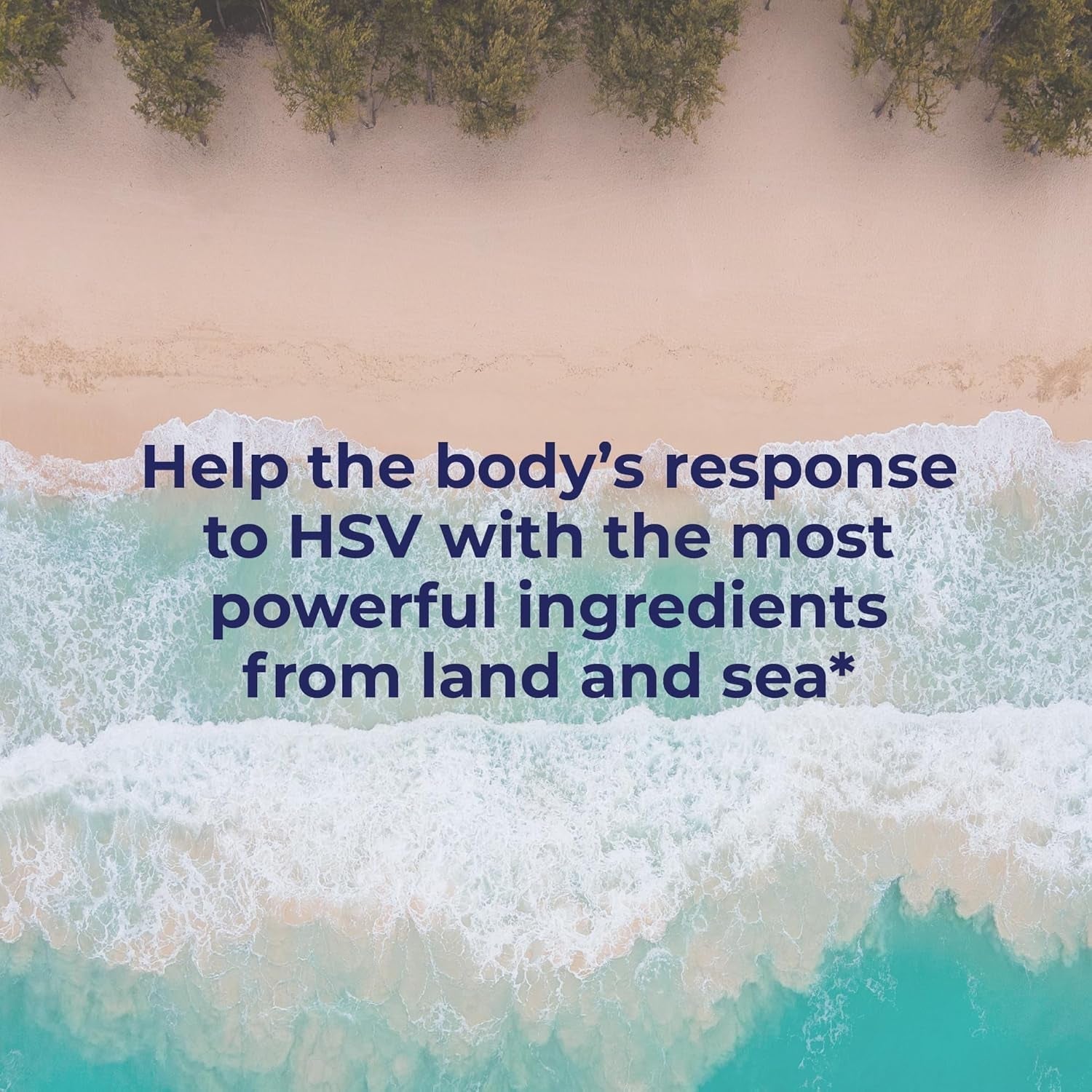 Simplix | Natural Supplement to Strengthen the Immune System | Respond to Outbreaks 60 Veggie Capsules