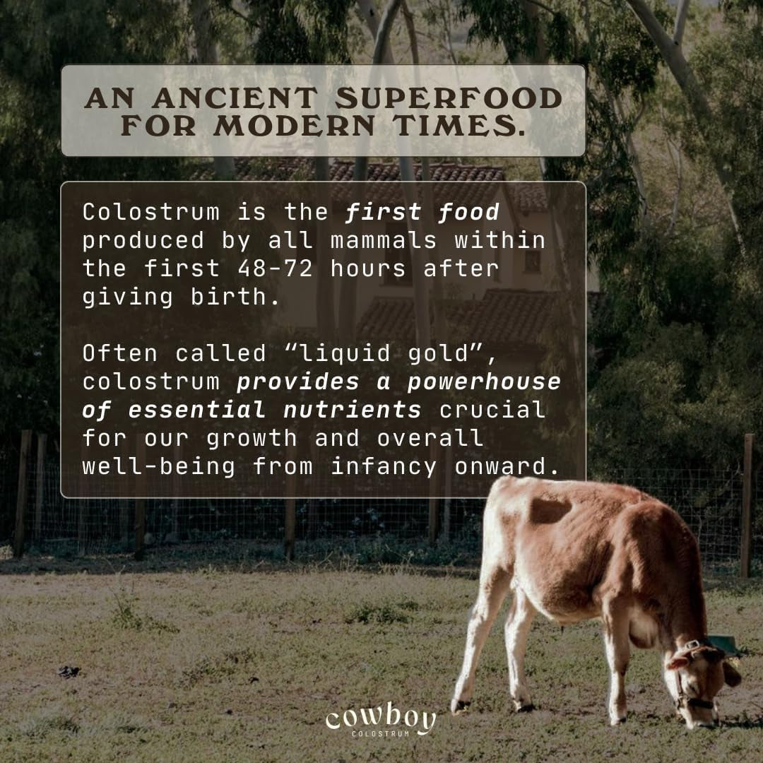 Bovine Colostrum Powder - Grass Fed Colostrum Supplement for Gut Health, Immunity, Skin & Hair (Vanilla, 40 Servings)