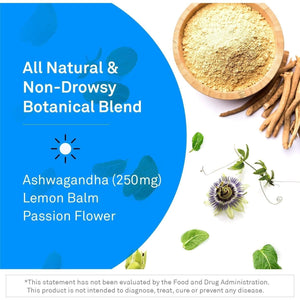 Neuroscience Alpha GABA Supplement - Help Soothe Anxiousness, Day or Night (90 Capsules)