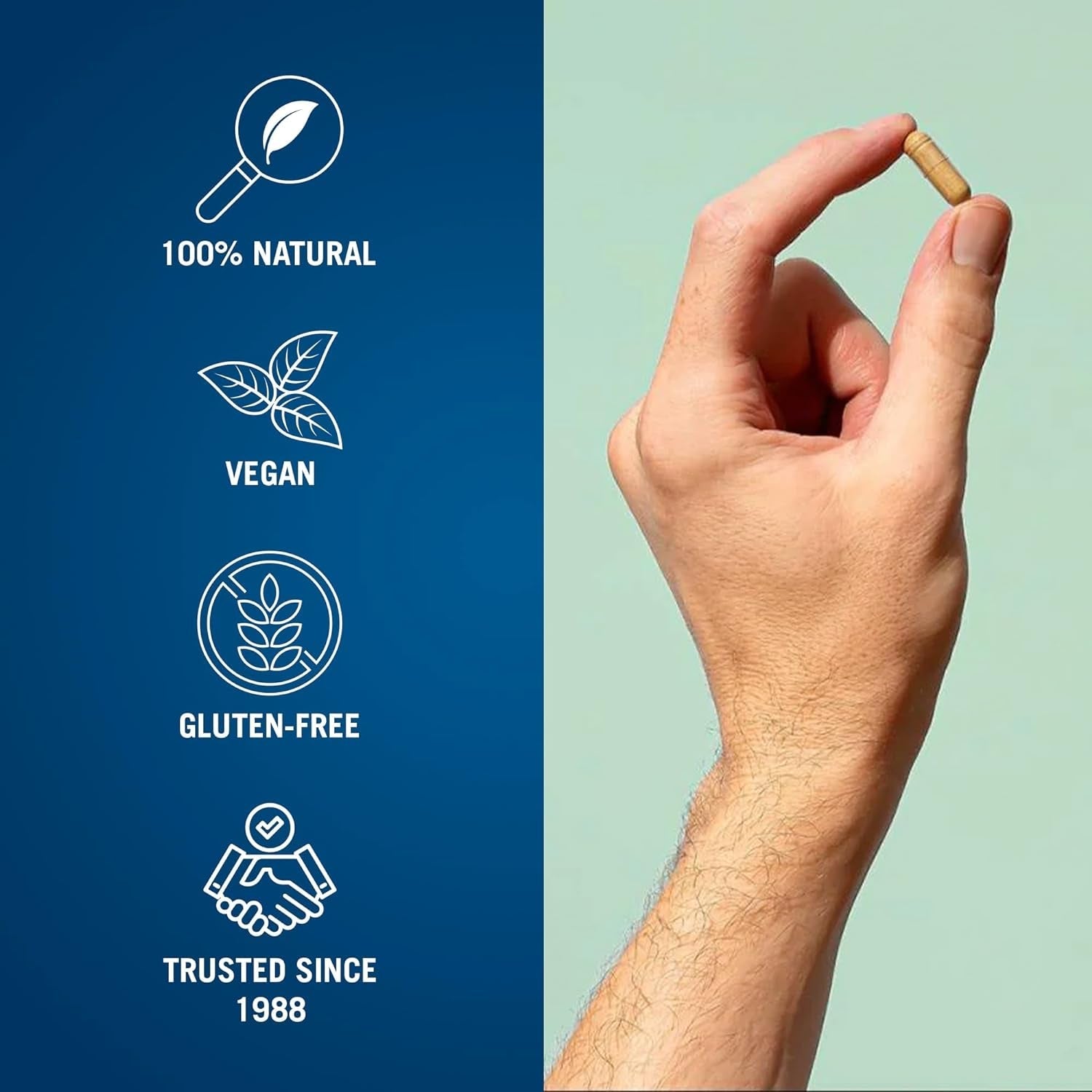 Century Systems the Cleaner Detox, Powerful 7-Day Complete Internal Cleansing Formula 52 Capsules