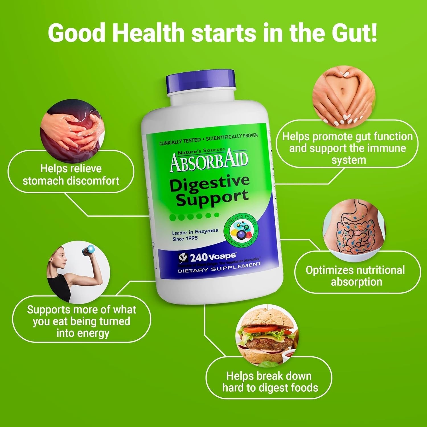 Absorbaid Digestive Enzymes 240 Vcaps, Proven to Increase Vital Nutrient Absorption by up to 71%