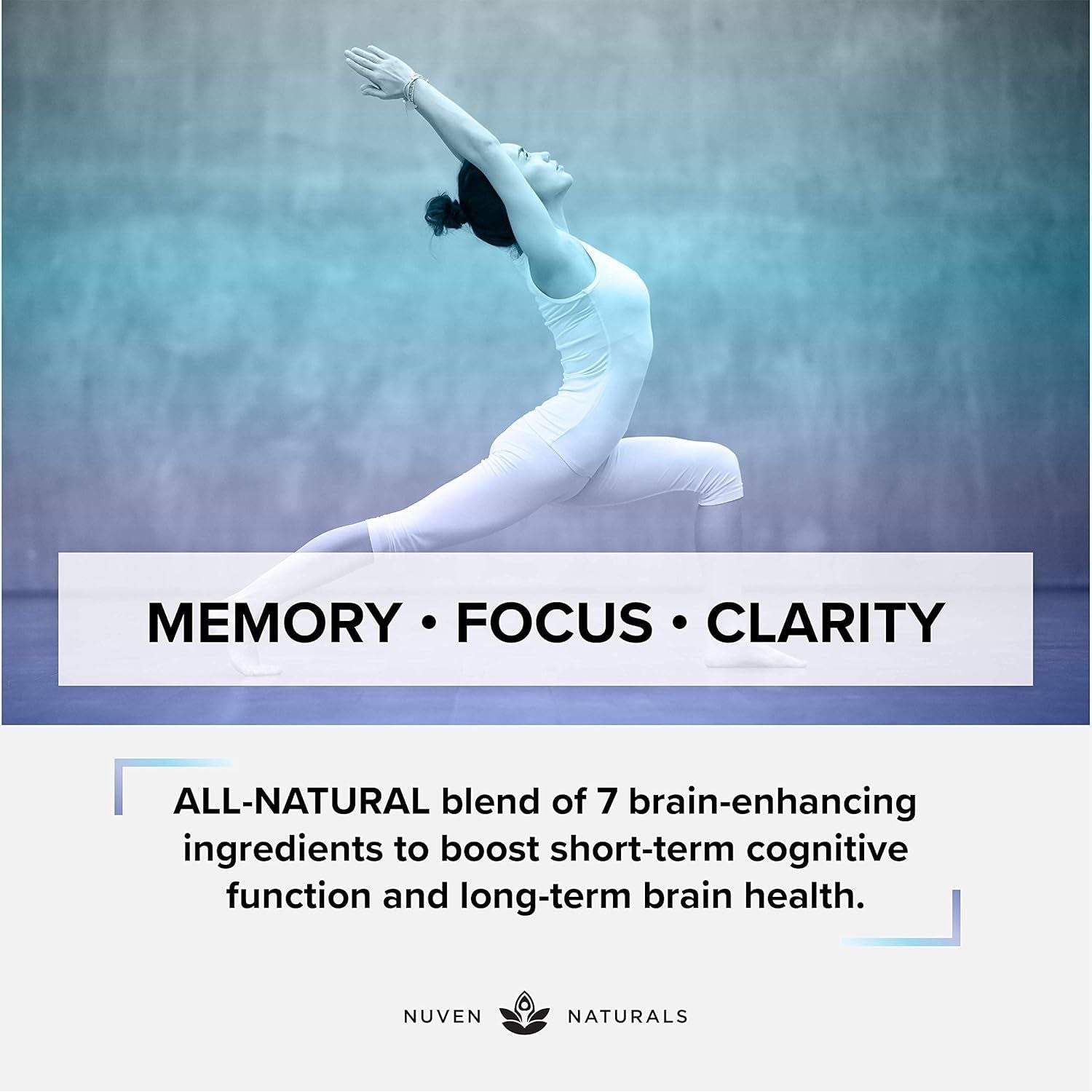 Brain Support Supplement - Natural Memory and Focus Supplement - 60 Capsules