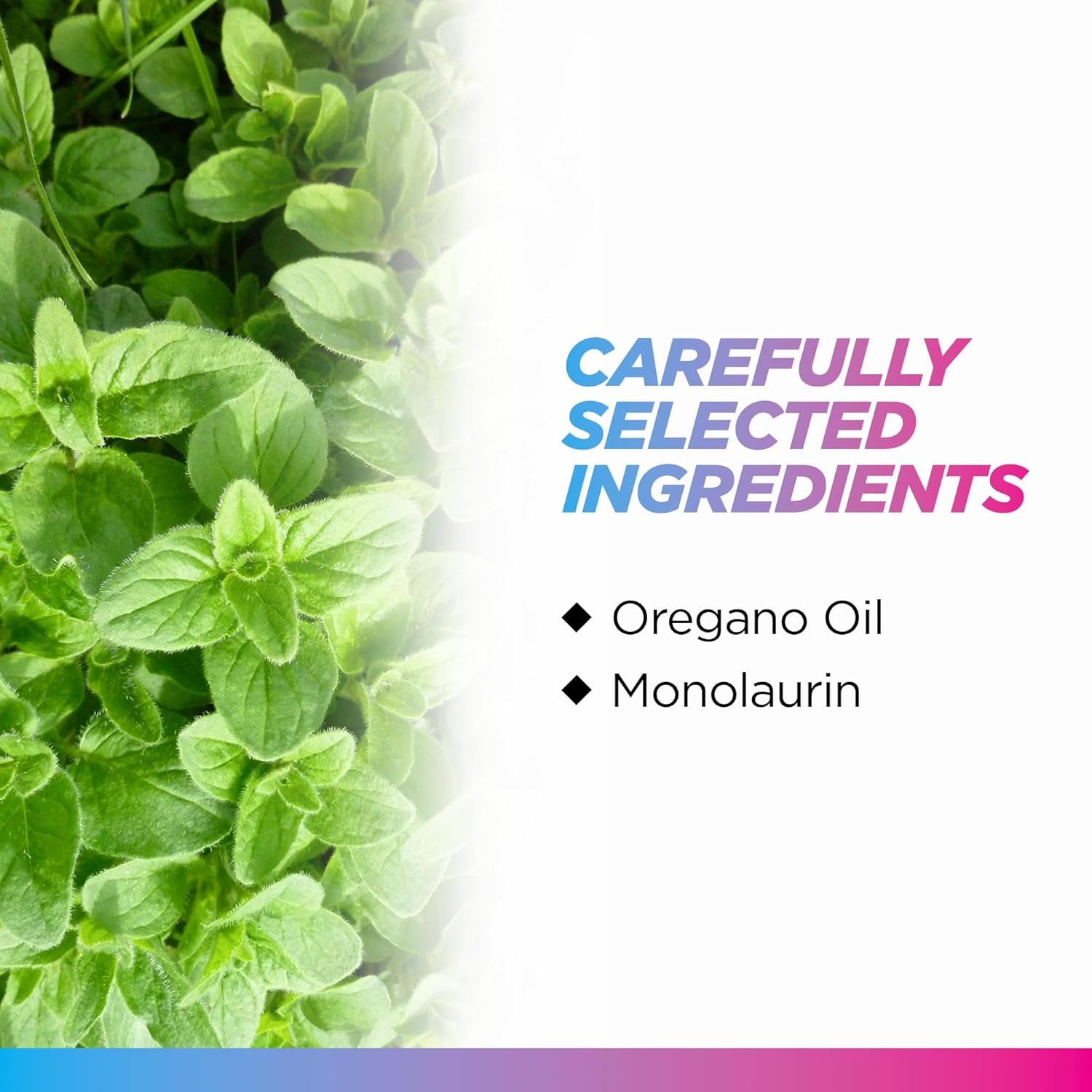 Livingood Daily Immune Support Supplement, 120 Capsules