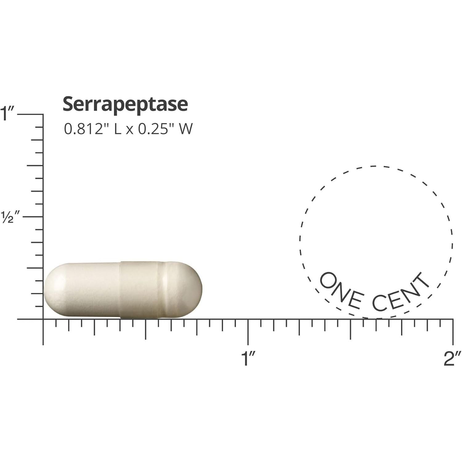 Healthy Directions Serrapeptase—120,000 Spu/Serving, 60 Vegan Capsules