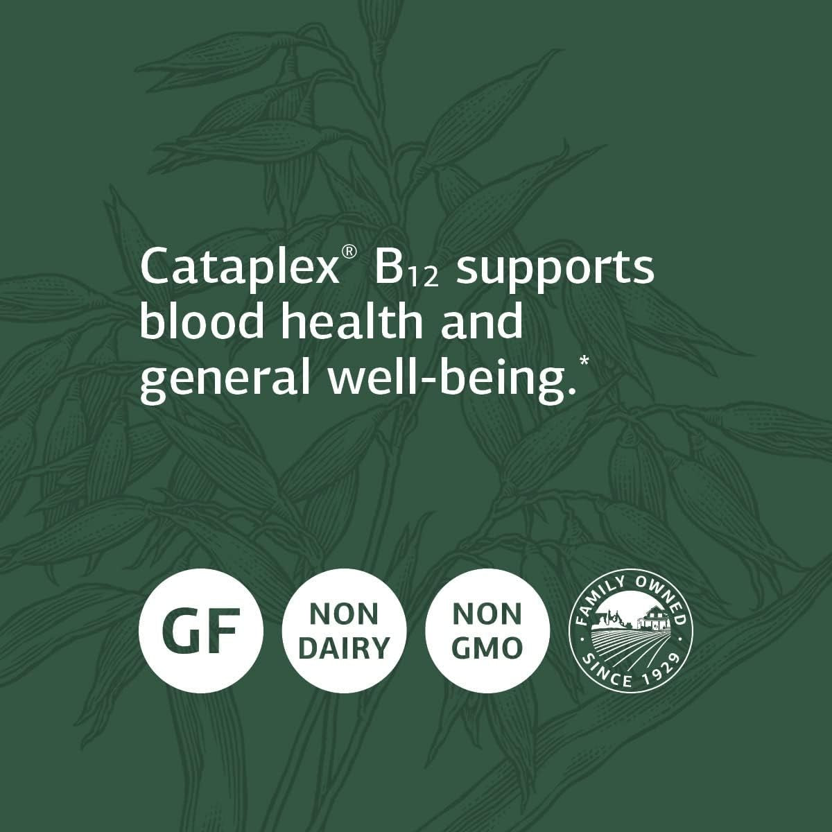 Standard Process Cataplex B12 -  Supports Blood Health, Folic Acid Metabolism, and General Health with Oat Flour and More - 90 Tablets