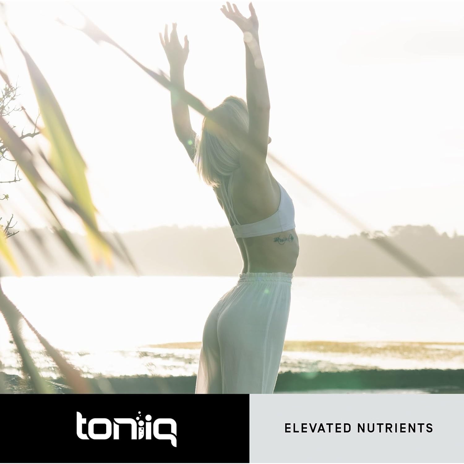 Toniiq Ultra High Purity Fisetin 500Mg - Third-Party Tested Senolytic Supplements for Aging Support - 60 Capsules