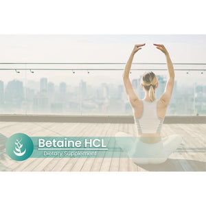 PURE ORIGINAL INGREDIENTS Betaine HCL, (100 Capsules)