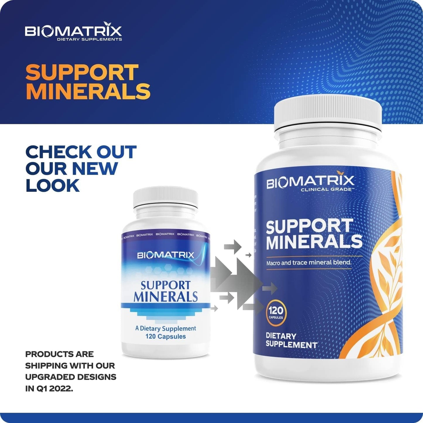 Biomatrix Mineral Supplement, Chelated Minerals | Iron-Free, Calcium, Magnesium, Copper, Zinc, Vitamin D, Iodine 30-Day Supply