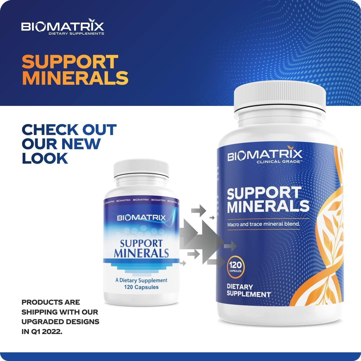 Biomatrix Mineral Supplement, Chelated Minerals | Iron-Free, Calcium, Magnesium, Copper, Zinc, Vitamin D, Iodine 30-Day Supply