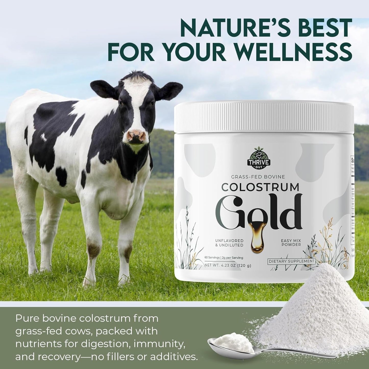 Colostrum Gold - Premium Grass-Fed Bovine Colostrum Powder Supplement for Immunity, Gut Health, Muscle & Wellness 60 Servings